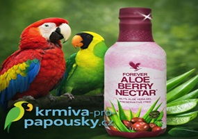 Nové zkušenosti s Aloe vera