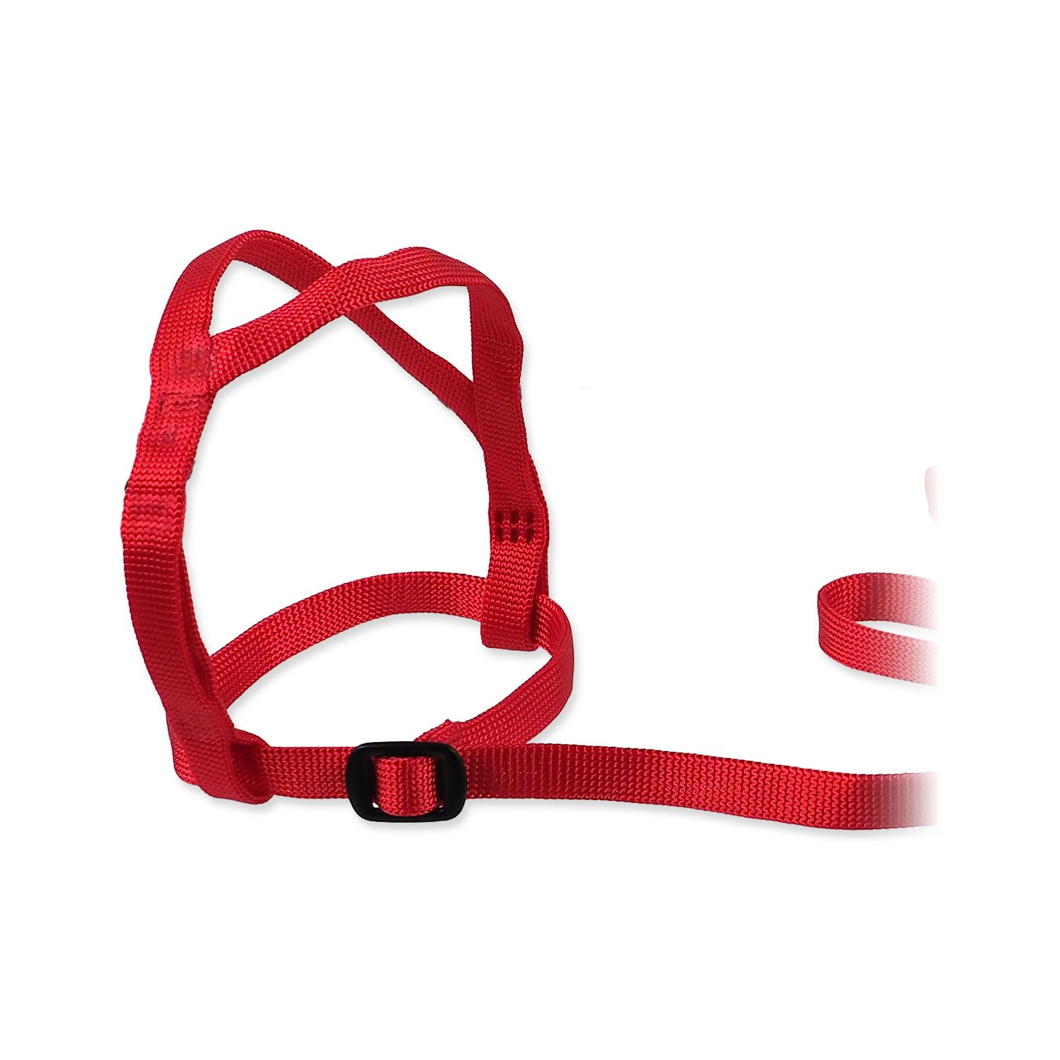 Postroje pro papoušky