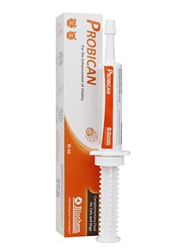 Probican pasta 15ml