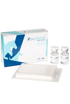Vexoderm Wound Dressing sterilní krytí 1ks 10x7cm