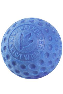 Hračka pes BALL MINI plov. z TPR modrá Kiwi