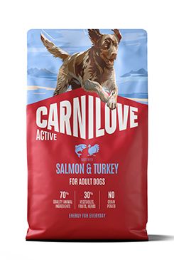 Carnilove Dog Active Dry Salmon&Turkey Adult AB 4kg