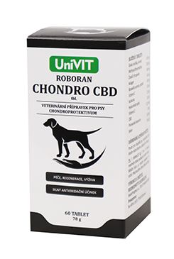 Roboran Chondro CBD 60tbl