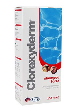 Clorexyderm forte shampoo ICF 200ml