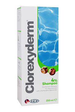 Clorexyderm shampoo 4% ICF 250ml