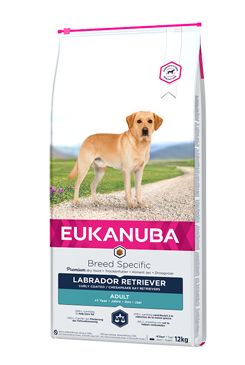 Eukanuba Dog Breed N. Labrador Retriever 12kg