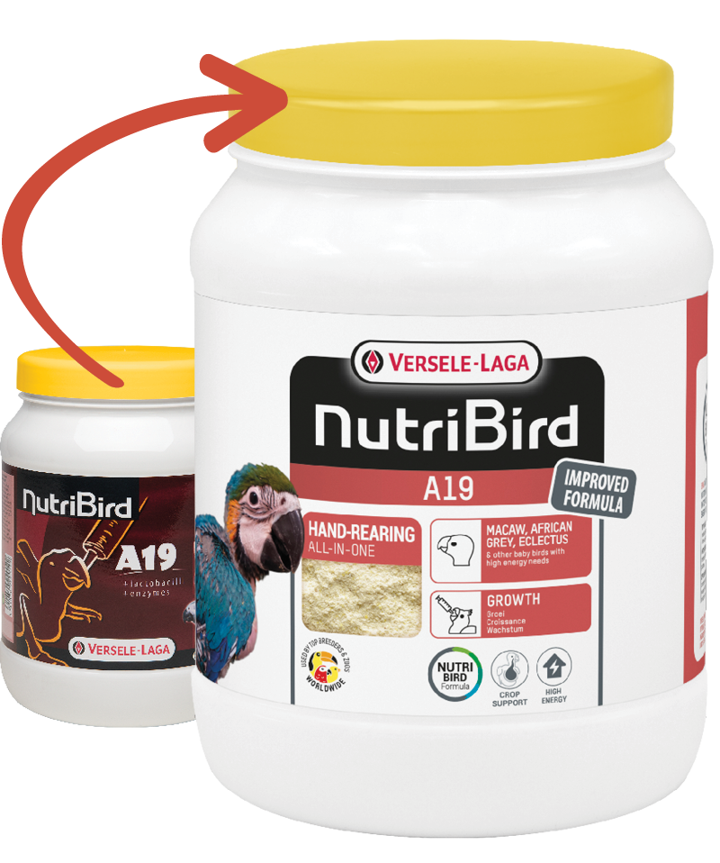VERSELE-LAGA Dokrmovací směs Nutribird A19 800 g