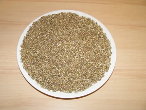 LLC West-Dale  Semenec 20 kg