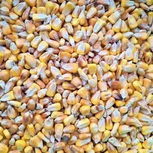 FM Kukuřice žlutá 1 kg