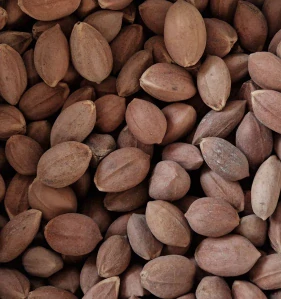 Zieler ořechy PILI 500 g