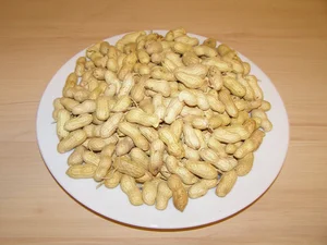 Henan Burské oříšky 10 kg