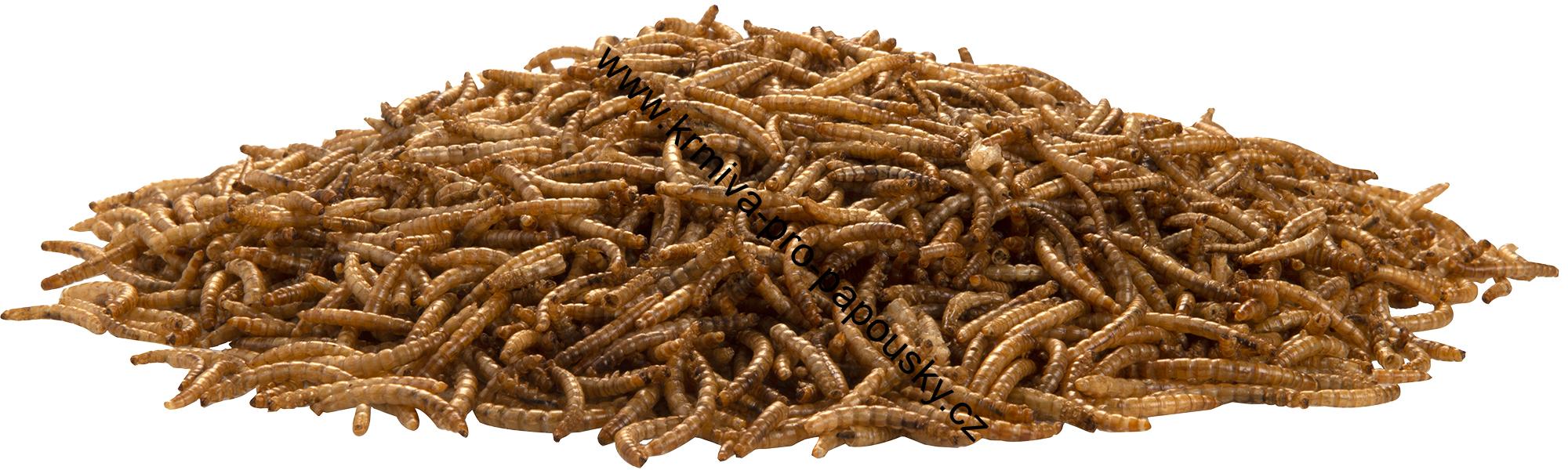 Sušený moučný červ 500g