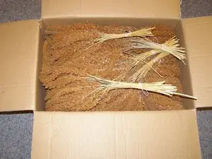 LECODE H.K. INTLĹ  Senegalské proso klasy červené 15 kg