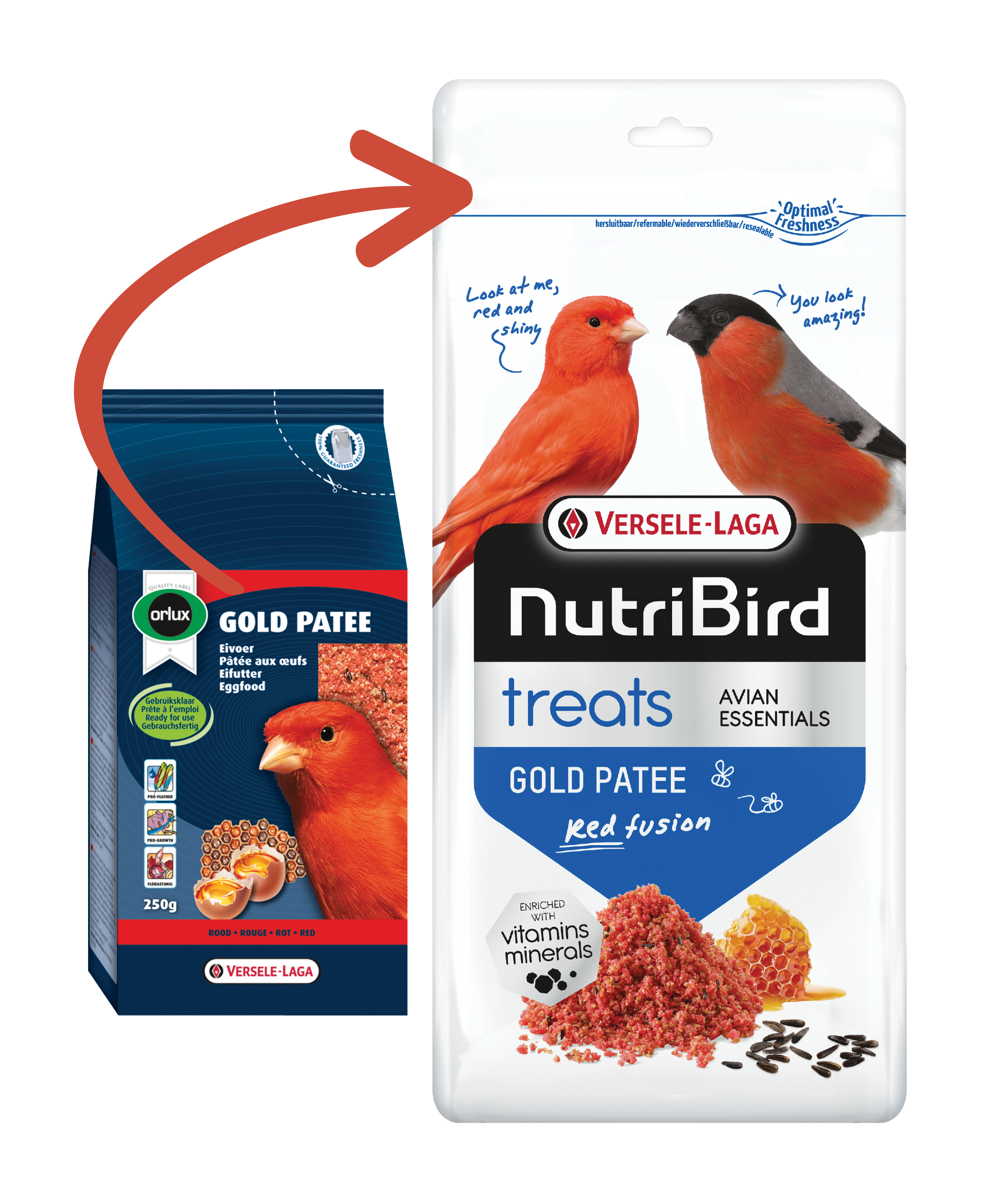 VERSELE-LAGA NutriBird GOLD PATEE RED vaječné krmivo vlhčené s medem pro červené kanáry 1 kg 