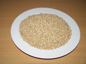 LLC West-Dale  Čirok bílý 1 kg