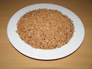 LLC West-Dale  Čirok červený 3 kg