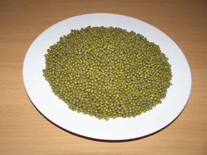 LLC West-Dale  Mungo 3 kg