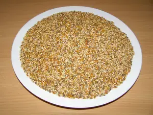 LLC West-Dale  Proso MIX  zelené, červené, žluté, bílé, černé  5 kg 
