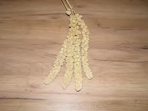 LECODE H.K. INTLĹ  Senegalské proso klasy žluté 100 g