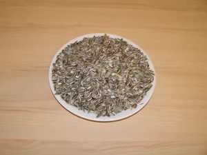 LLC West-Dale  Slunečnice žíhaná 3 kg