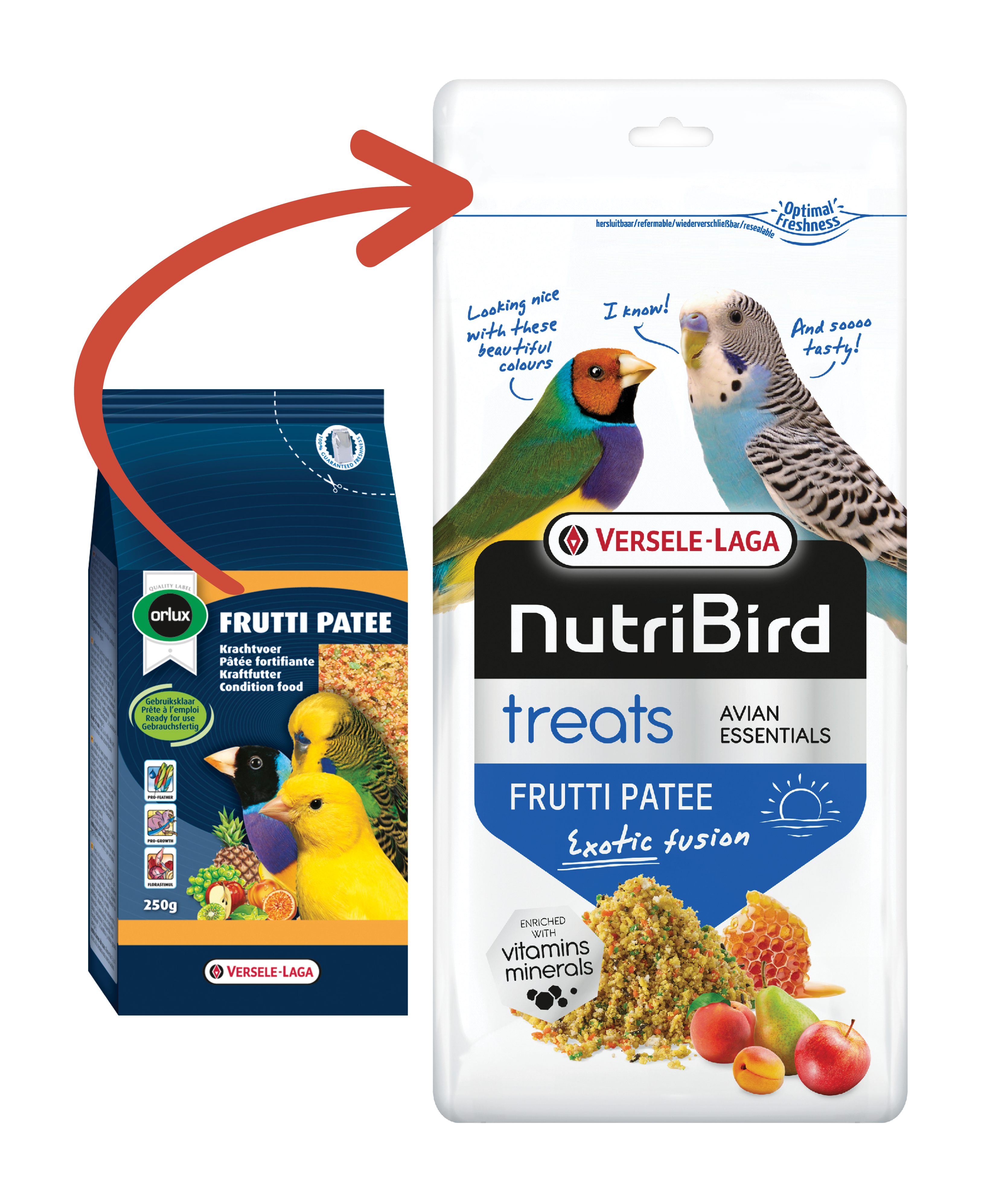 VERSELE-LAGA NutriBird  Treats FRUTTI PATEE vaječné krmivo vlhčené s medem a kousky ovoce pro kanáry, exotické ptactvo a malé papoušky 250 g