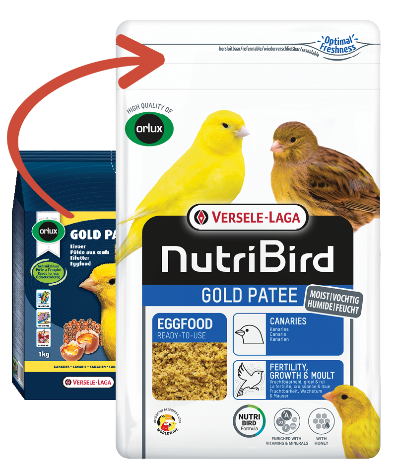 VERSELE-LAGA NutriBird GOLD PATEE vaječné krmivo vlhčené s medem  pro kanáry 1 Kg 