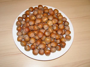 Manitoba Lískové ořechy 10 kg