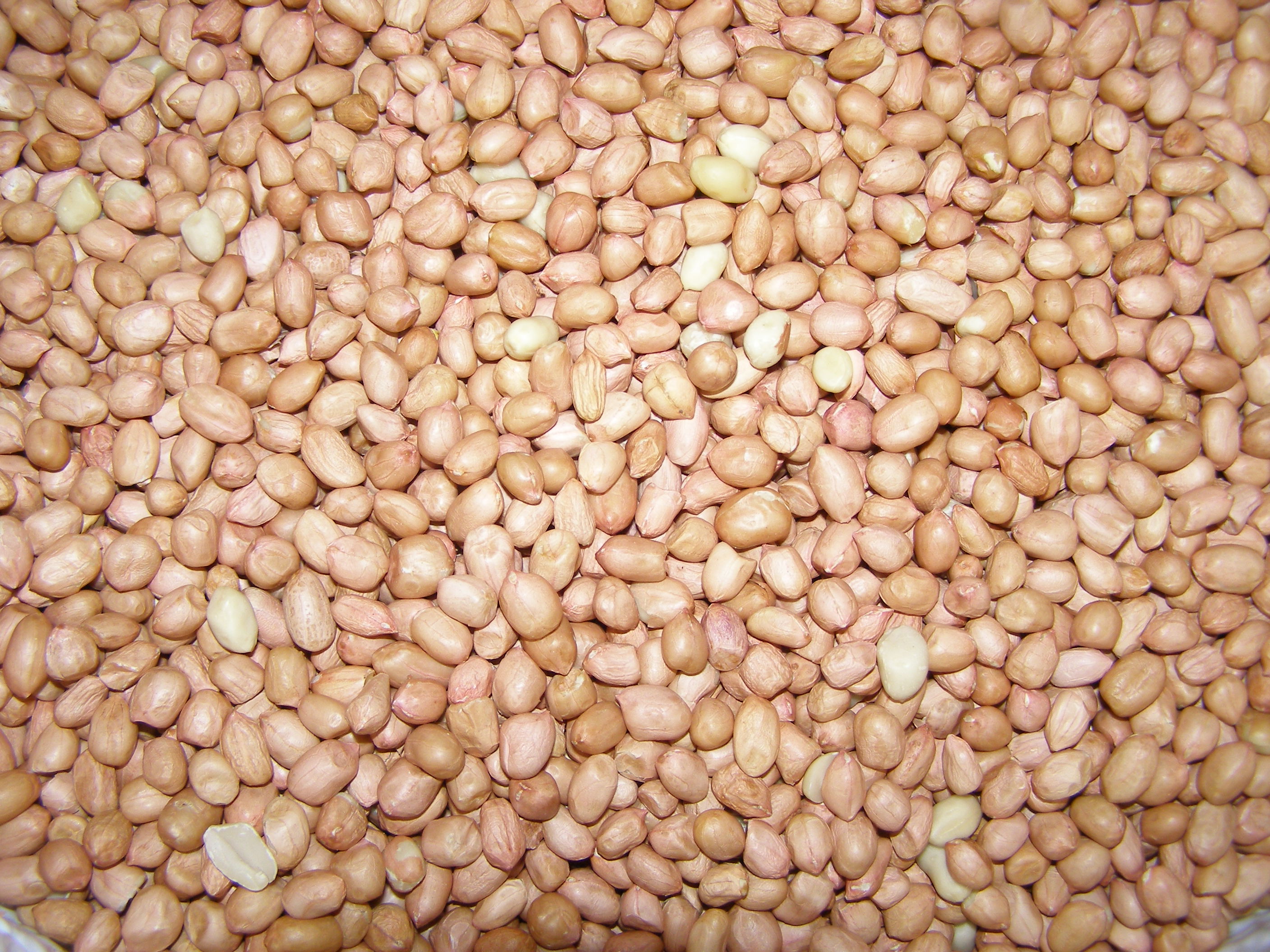 Henan Arašídy loupané ve slupce 3 kg