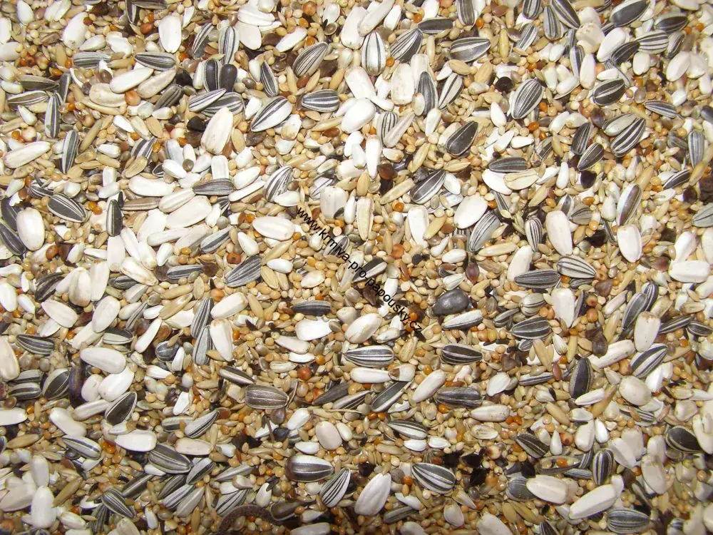 Deli Nature 69 Deli Nature pro australské střední papoušky se slunečnicí 20 kg + 800g vaječné směsi ZDARMA