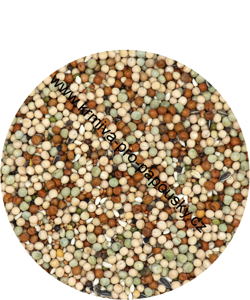 Versele-Laga Gra-Mix Pigeons Basic 20 kg standardní směs
