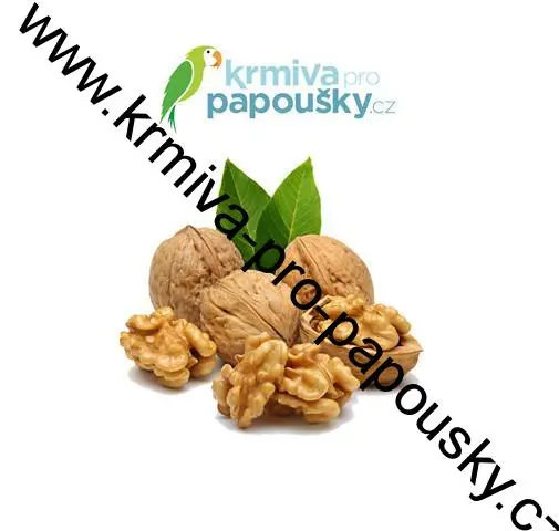 DIAMOND FOODS, USA Vlašské ořechy JUMBO 32 mm  10 kg