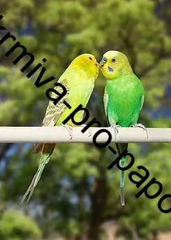 JK hnízdící budka LUX č.2 z překližky pro andulky a malé papoušky 22 x 13,5 x 14 cm