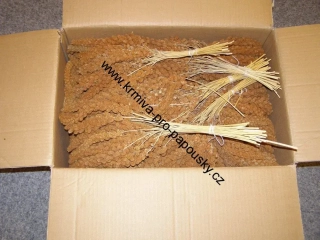LECODE H.K. INTLĹ  Senegalské proso klasy červené 15 kg